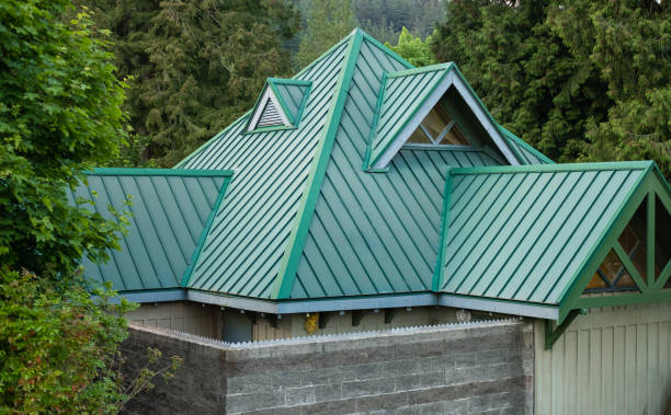 Best Metal Roofing Installation  in Elm Creek, NE