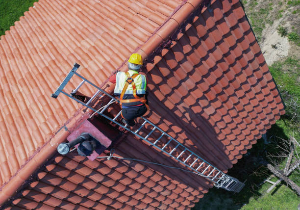 Best Roof Ventilation Installation  in Elm Creek, NE